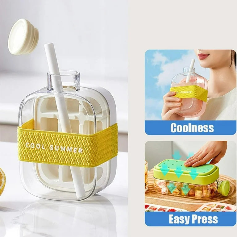 Ice Cube Tray Bottle 500ml